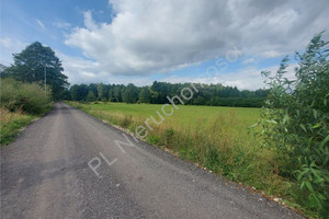 Działka na sprzedaż 8000m2 wołomiński Radzymin Rżyska - zdjęcie 1