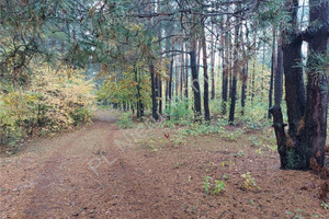 Działka na sprzedaż 2223m2 wołomiński Radzymin Arciechów - zdjęcie 1