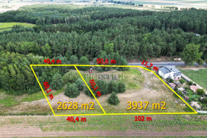 Działka na sprzedaż 6565m2 inowrocławski Dąbrowa Biskupia Modliborzyce - zdjęcie 1