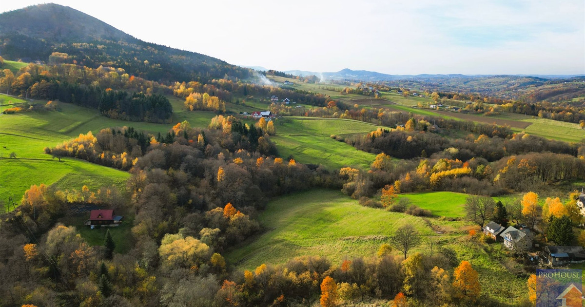 Duża działka w kameralnym miejscu