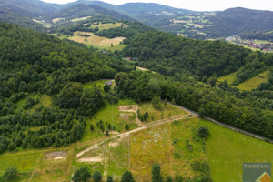 Działka na sprzedaż 1000m2 limanowski Laskowa - zdjęcie 1