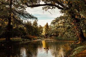 Mieszkanie na sprzedaż 107m2 Wrocław Śródmieście Zalesie Park Szczytnicki - zdjęcie 2