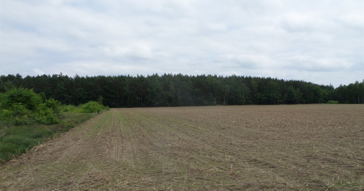 Pięknie położona, kształtna działka rolna