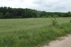 Działka na sprzedaż 30545m2 sochaczewski Młodzieszyn Marysin - zdjęcie 1