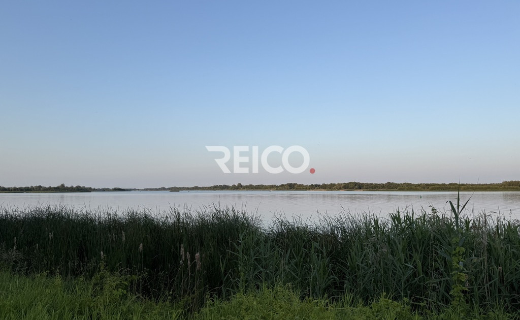 Pierwsza linia zabudowy nad Narwią