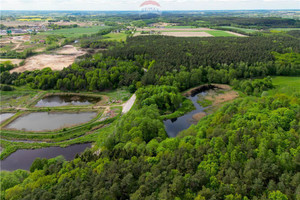 Działka na sprzedaż 83400m2 rypiński Rogowo Huta-Chojno - zdjęcie 1