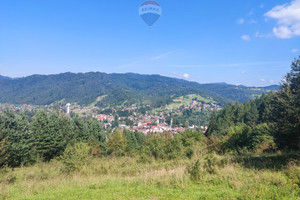 Działka na sprzedaż 4138m2 nowotarski Krościenko nad Dunajcem - zdjęcie 1