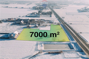 Działka na sprzedaż 7000m2 brzeski Dębno Wola Dębińska - zdjęcie 1