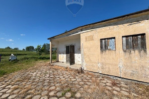 Dom na sprzedaż 55m2 sztumski Mikołajki Pomorskie Krasna Łąka - zdjęcie 3