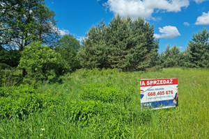 Działka na sprzedaż 8574m2 myszkowski Myszków Nierada - zdjęcie 2