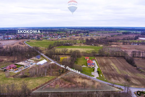 Działka na sprzedaż 5614m2 trzebnicki Prusice Skokowa Prusicka - zdjęcie 3