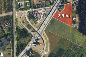 Działka na sprzedaż 29000m2 skierniewicki Kowiesy Zawady - zdjęcie 2