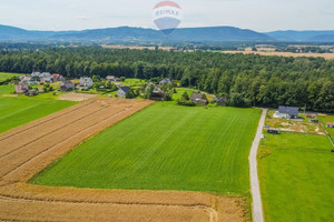 Działka na sprzedaż 14791m2 wadowicki Wieprz Nidek Różana - zdjęcie 1