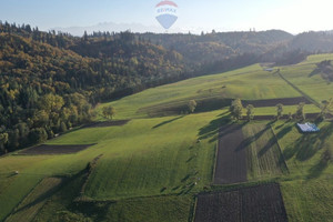 Działka na sprzedaż 1226m2 nowotarski Łapsze Niżne Falsztyn - zdjęcie 3