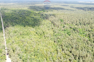 Działka na sprzedaż 7596m2 ostrowiecki Ostrowiec Świętokrzyski Las Rzeczki - zdjęcie 3