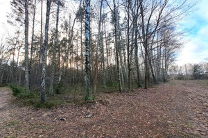 Działka na sprzedaż 5042m2 miński Dobre Rynia Czarna - zdjęcie 1