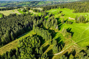 Działka na sprzedaż 6560m2 tatrzański Kościelisko Dzianisz - zdjęcie 2