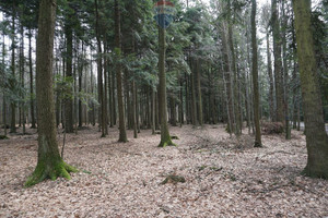 Działka na sprzedaż 1027m2 suski Budzów - zdjęcie 3