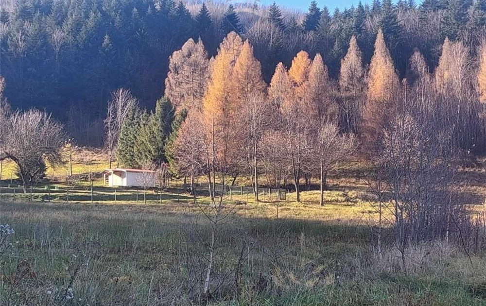 Widokowa działka leśna