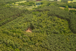 Działka na sprzedaż 30804m2 poddębicki Zadzim Adamka - zdjęcie 3