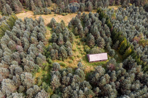 Działka na sprzedaż 20000m2 nowotarski Jabłonka Leśna - zdjęcie 2