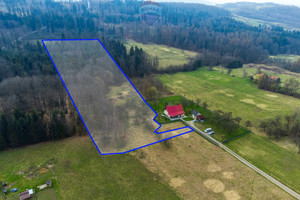 Działka na sprzedaż 5200m2 wielicki Niepołomice Zakrzów - zdjęcie 1