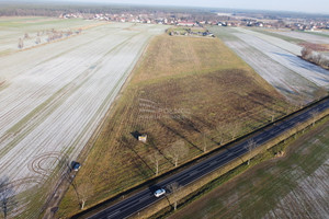 Działka na sprzedaż 35000m2 bolesławiecki Bolesławiec Brzeźnik - zdjęcie 4