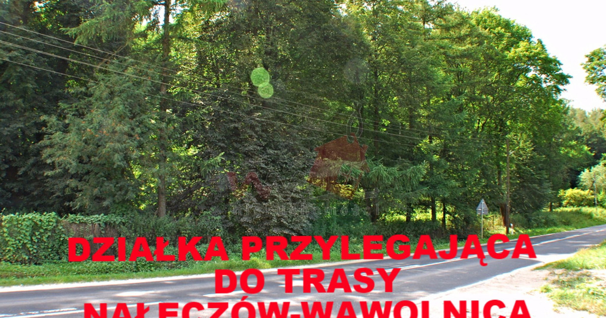 Działka 46 ar Łąki k. Nałęczowa *Atrakcyjna Cena!*