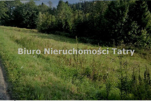 Działka na sprzedaż 1043m2 tatrzański Biały Dunajec Gliczarów Dolny - zdjęcie 1