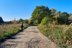 Działka na sprzedaż 10832m2 elbląski Tolkmicko Suchacz Suchacz - zdjęcie 3