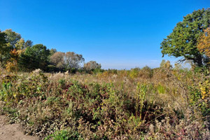 Działka na sprzedaż 10832m2 elbląski Tolkmicko Suchacz Suchacz - zdjęcie 2