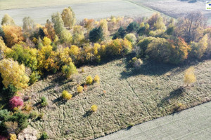 Działka na sprzedaż 7469m2 piotrkowski Sulejów Koło - zdjęcie 1