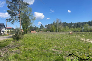 Działka na sprzedaż 12000m2 tarnogórski Tworóg Boruszowice Boruszowice - zdjęcie 1