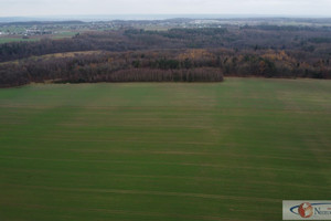 Działka na sprzedaż 1200m2 pucki Puck Sławutówko - zdjęcie 3