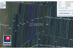 Działka na sprzedaż 15700m2 pajęczański Kiełczygłów Chorzew - zdjęcie 2