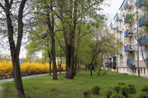 Mieszkanie na sprzedaż 48m2 Poznań Winogrady - zdjęcie 1