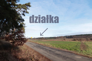 Działka na sprzedaż 3002m2 żniński Gąsawa Oćwieka Oćwieka - zdjęcie 1