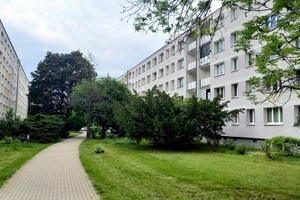 Mieszkanie do wynajęcia 38m2 Poznań Rataje Osiedle Piastowskie - zdjęcie 1