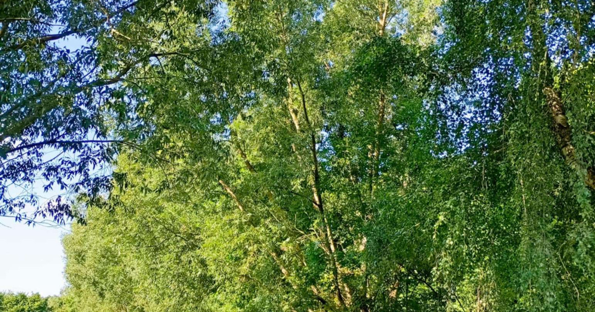 Działka budowlana nad Jeziorem Kowalskie