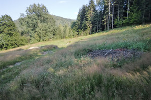 Działka na sprzedaż 12284m2 Bielsko-Biała Lipnik - zdjęcie 1