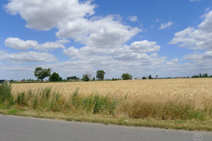 Działka na sprzedaż 5891m2 zgierski Głowno Wola Mąkolska - zdjęcie 2