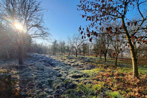 Działka na sprzedaż 1200m2 krakowski Iwanowice Maszków Kolonia - zdjęcie 2