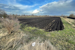 Działka na sprzedaż 955m2 Gdańsk Orunia-Św. Wojciech-Lipce Orunia Żuławska - zdjęcie 1