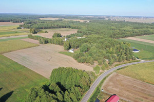 Działka na sprzedaż 3000m2 kolneński Turośl Ptaki - zdjęcie 2