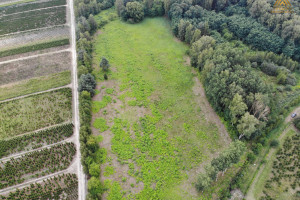 Działka na sprzedaż 17400m2 żyrardowski Mszczonów Gąba - zdjęcie 1