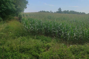 Działka na sprzedaż 3028m2 choszczeński Choszczno Sławęcin - zdjęcie 1