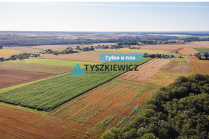 Działka na sprzedaż 3032m2 pucki Krokowa Lisewo Leśna - zdjęcie 1