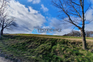 Działka na sprzedaż 30604m2 pucki Krokowa Goszczyno Żarnowiecka - zdjęcie 2