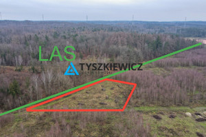 Działka na sprzedaż 3120m2 kartuski Somonino Borcz - zdjęcie 1