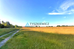 Działka na sprzedaż 3000m2 wejherowski Choczewo Słajszewo - zdjęcie 3